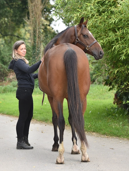 Anne-Gaëlle Goachet portant un blouson Hermoga et caressant un cheval gris en train de brouter