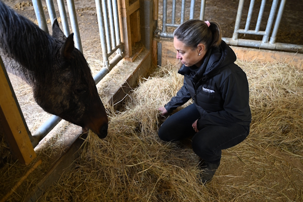 Anne-Gaëlle Goachet en cours de suivi nutritionnel dans un élevage de chevaux d'endurance équestre