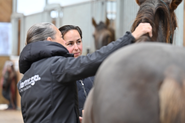 Anne-Gaëlle Goachet en conversation avec une professionnelle du spectacle équestre  autour d'un cheval pendant un Rendez-vous de suivi d'écurie