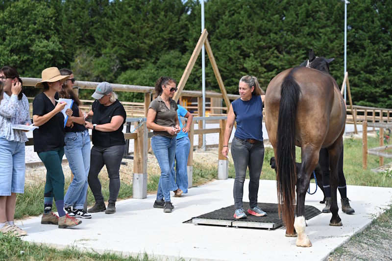 les élèves de la formation professionnelle en nutrition équine réunis autour d'Anne-Gaëlle Goachet lors de la journée en présentiel : analyse de l'état corporel, pesée du cheval, et des échanges pour  affiner son regard.
